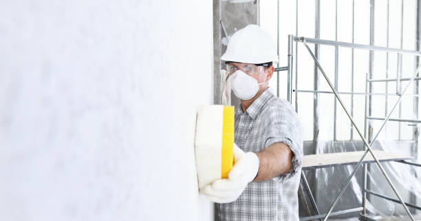 Best Mold Odor Removal Services  in Merrick, NY