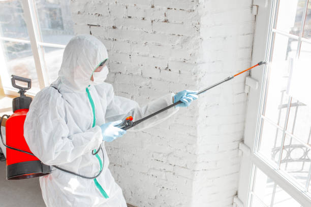 Mold Remediation for Rental Properties in Merrick, NY