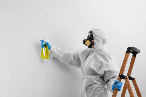 Best Industrial Mold Remediation  in Merrick, NY